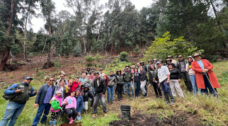Jornada de siembra de árboles en el Refous