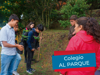 Colegio al Parque