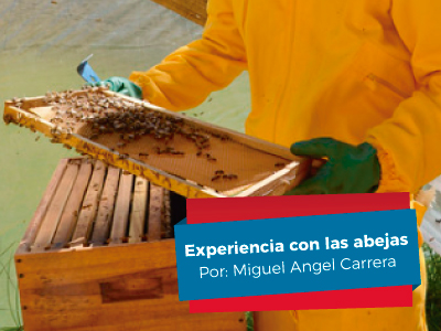 La experiencia del exalumno Miguel Ángel Carrera con las abejas