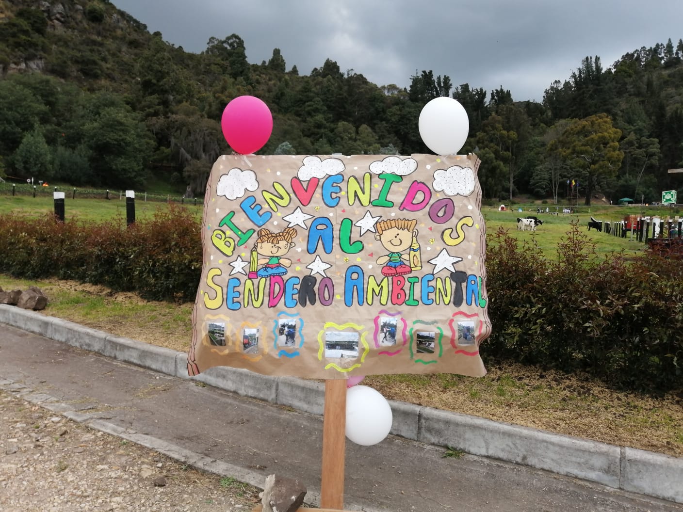 Semana Ambiental
