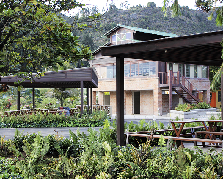 Biblioteca y Salones al aire libre