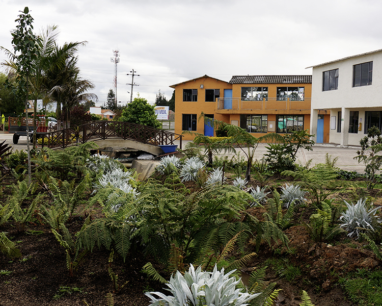 Jardín y Salones de bachillerato