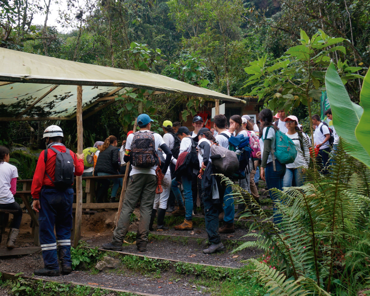 Caminata la Chorrera - Choachí Cundinamarca EL VERDADERO VALOR DE UN PEQUEÑO ÁRBOL