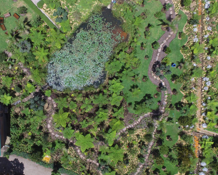 Jardín - Lago