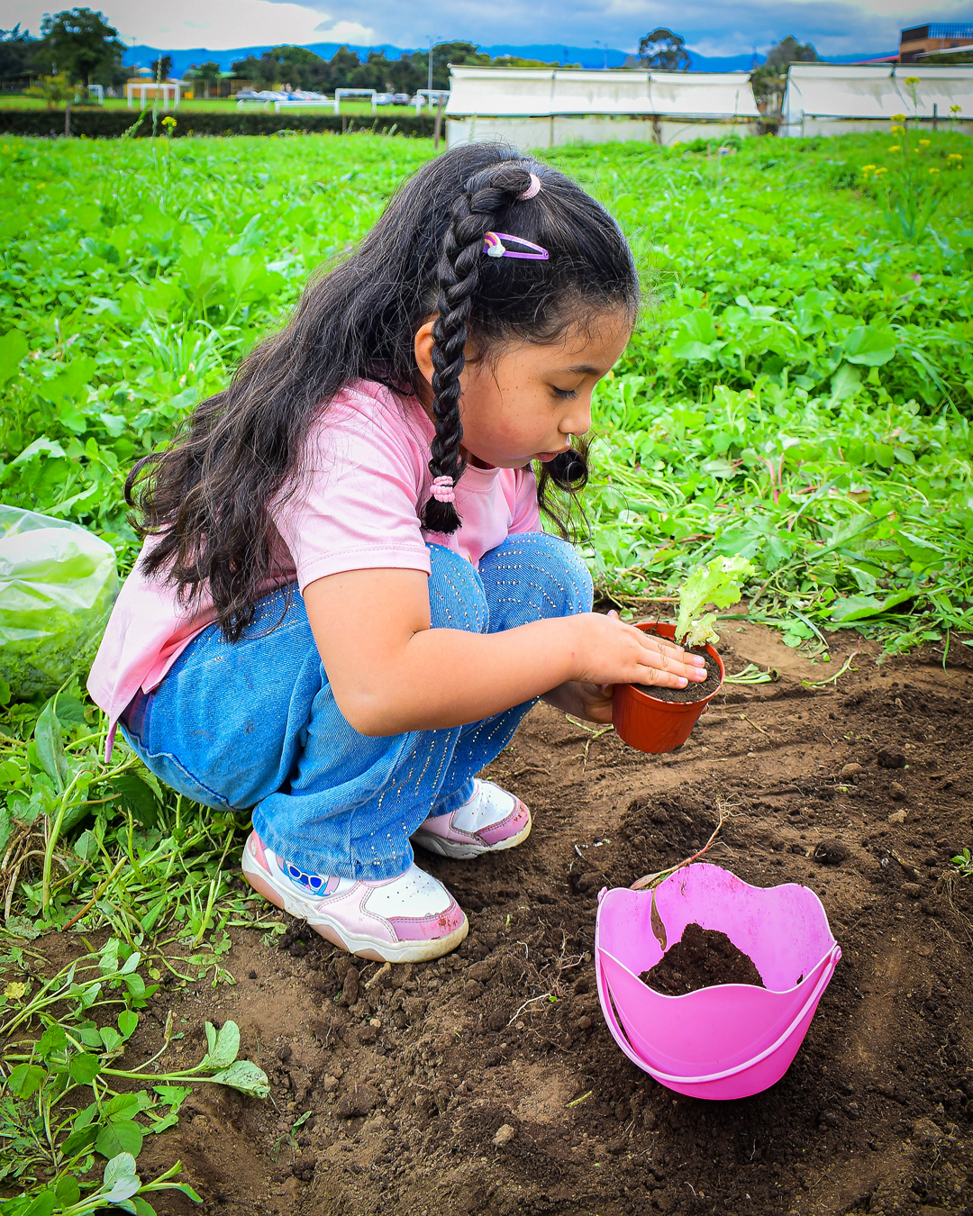 Así se vivió nuestro Open House en el Colegio Refous