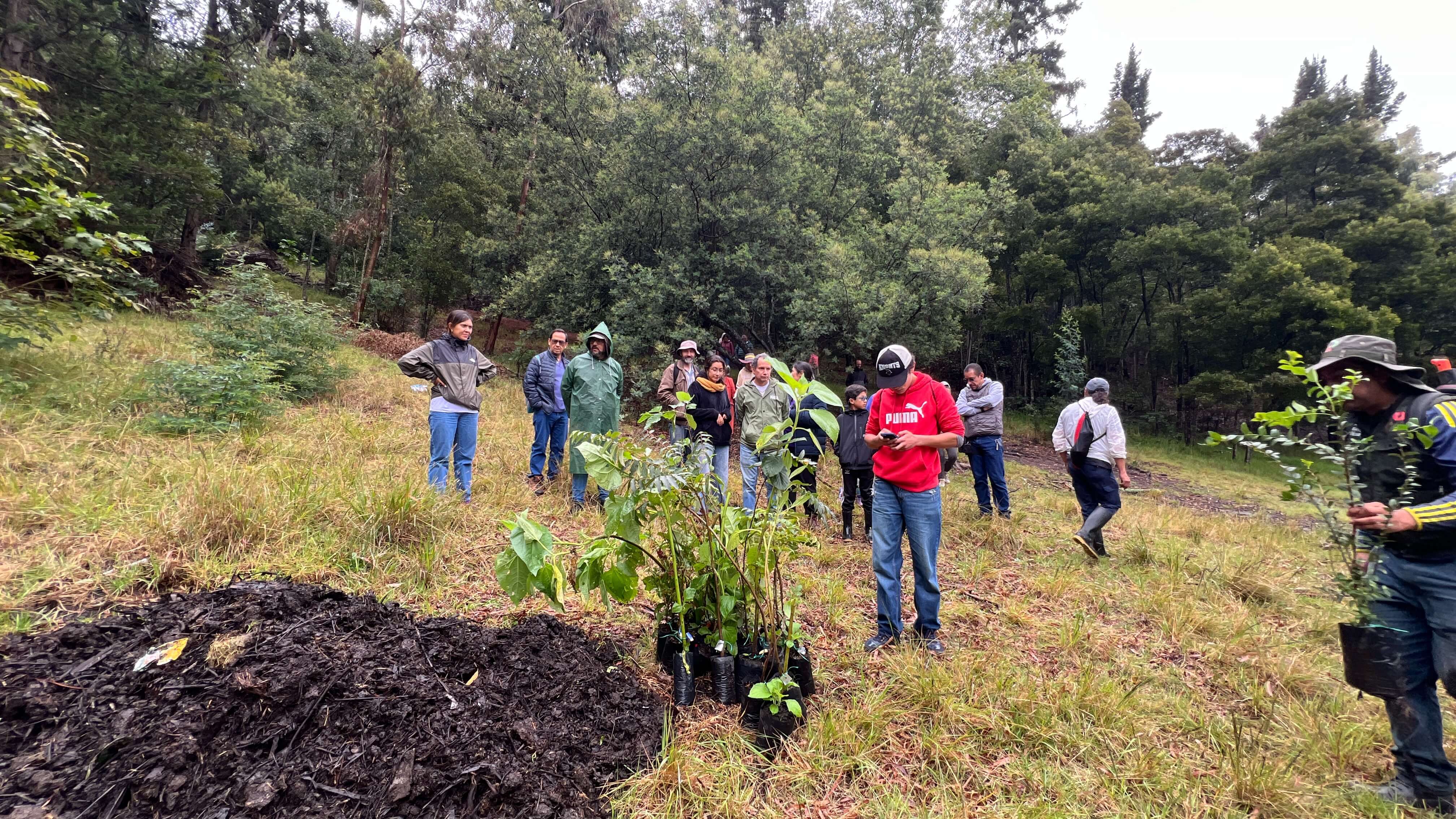 Jornada de siembra de árboles en el Refous
