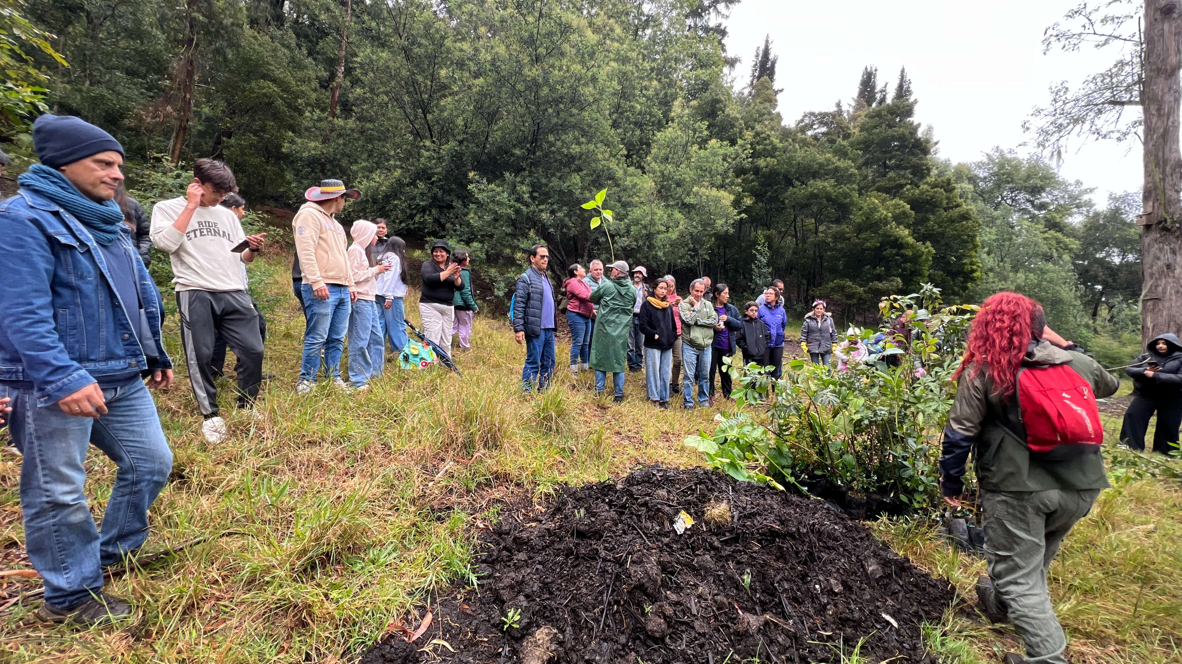Jornada de siembra de árboles en el Refous