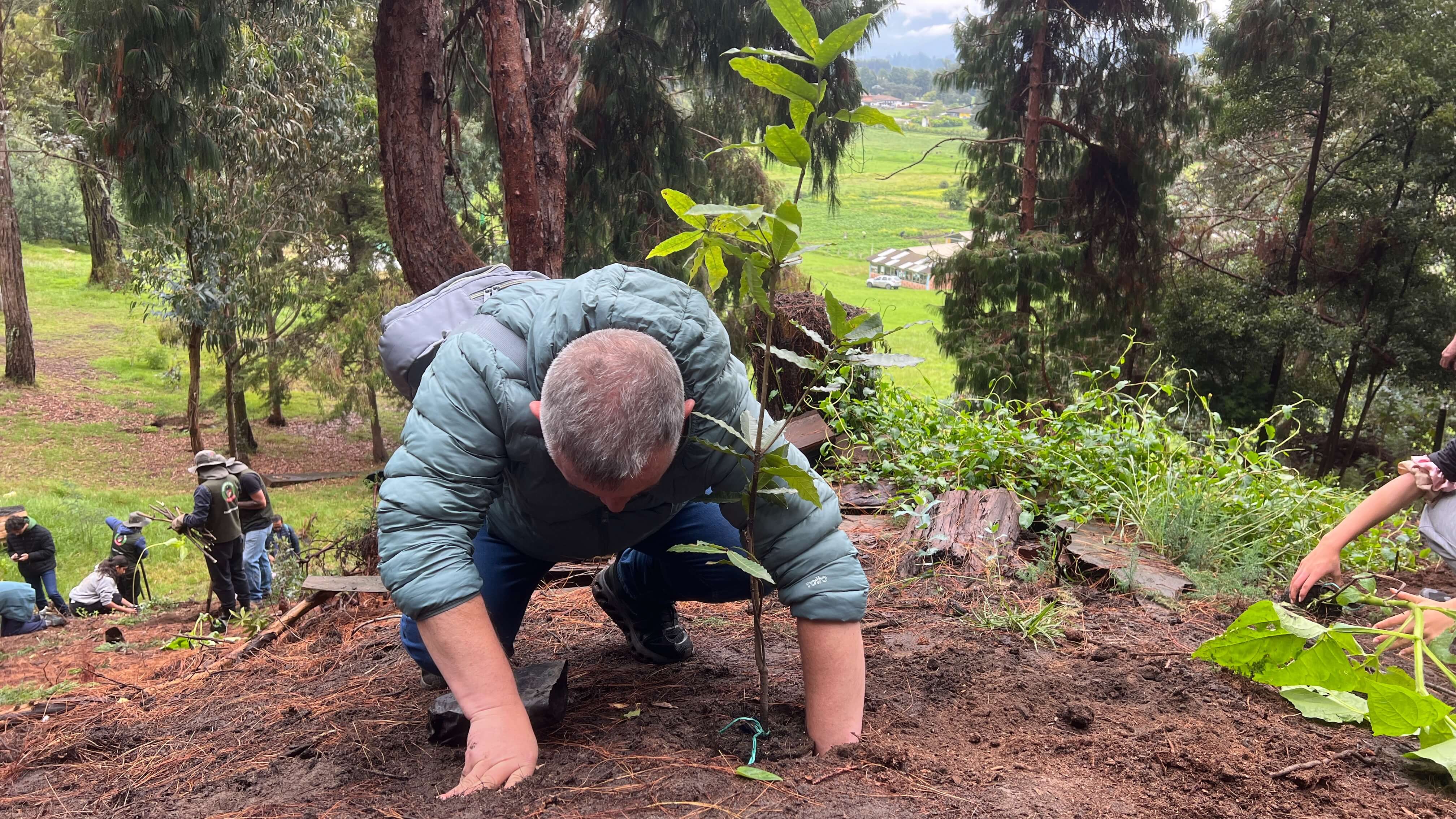 Jornada de siembra de árboles en el Refous