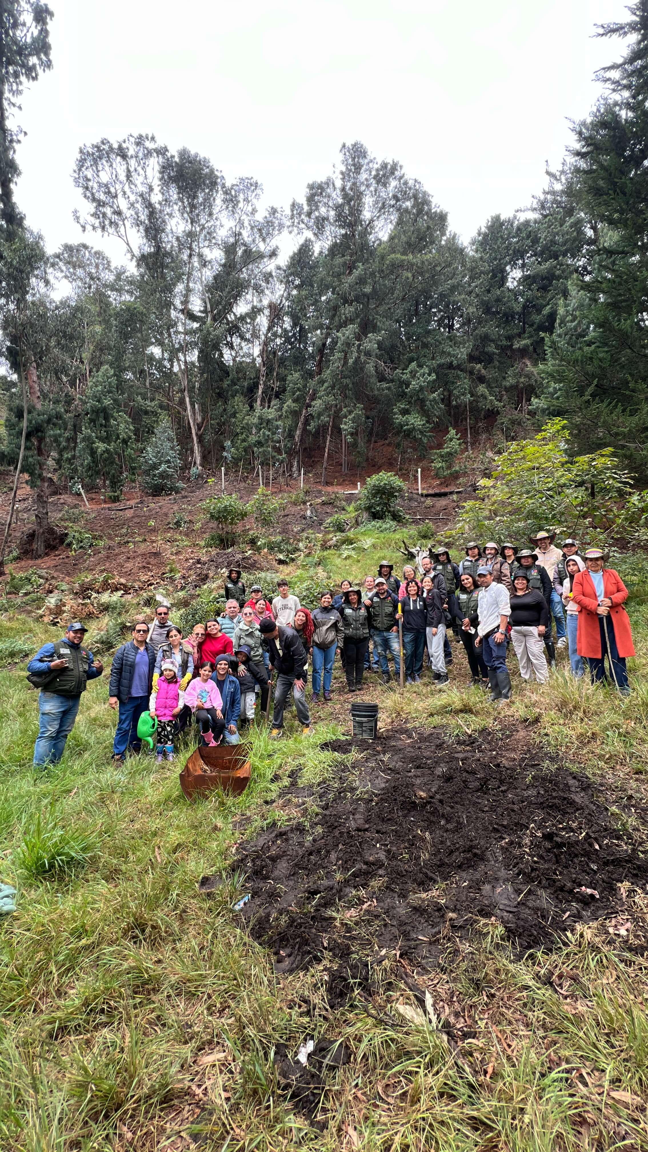 Jornada de siembra de árboles en el Refous