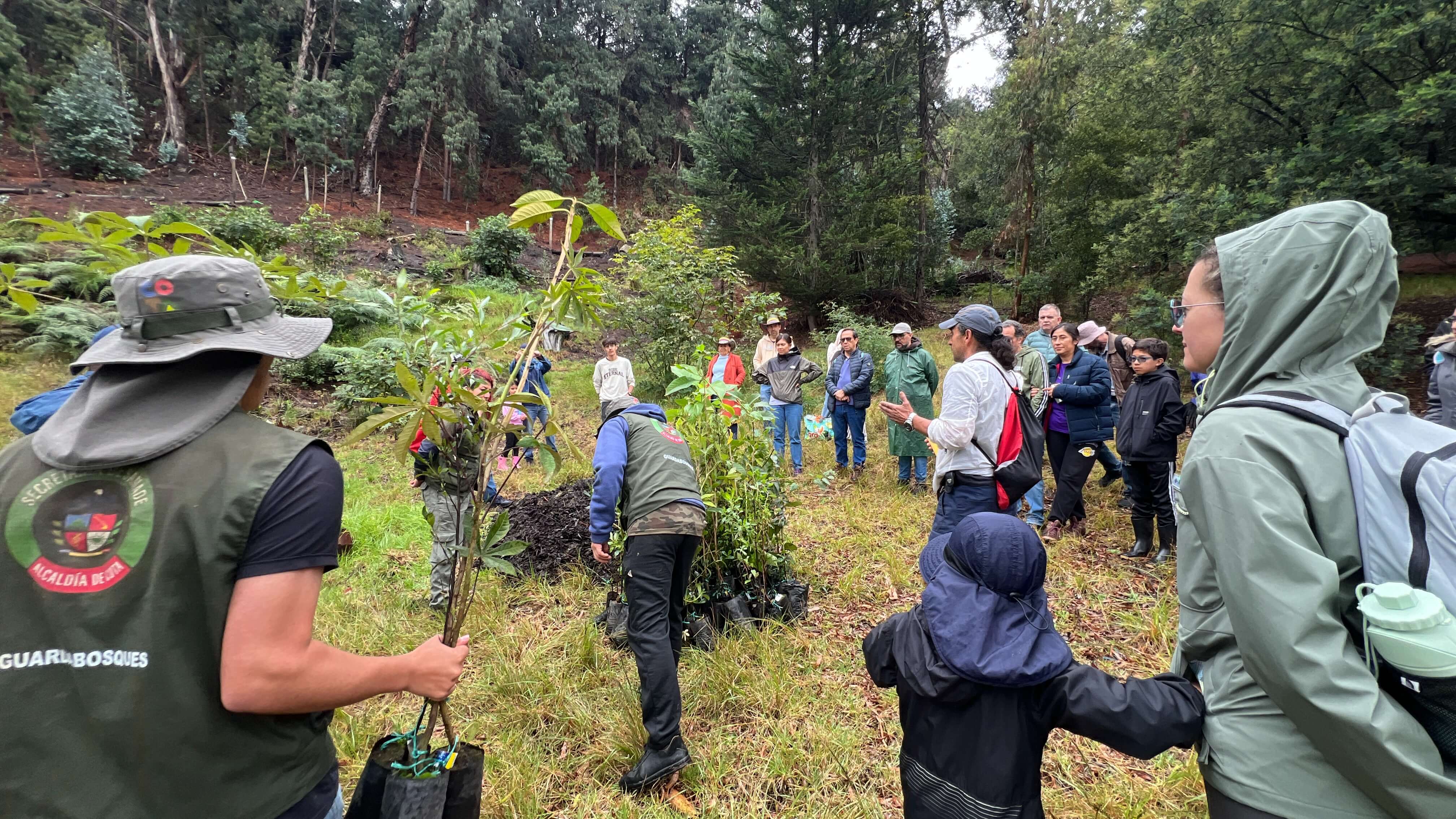 Jornada de siembra de árboles en el Refous