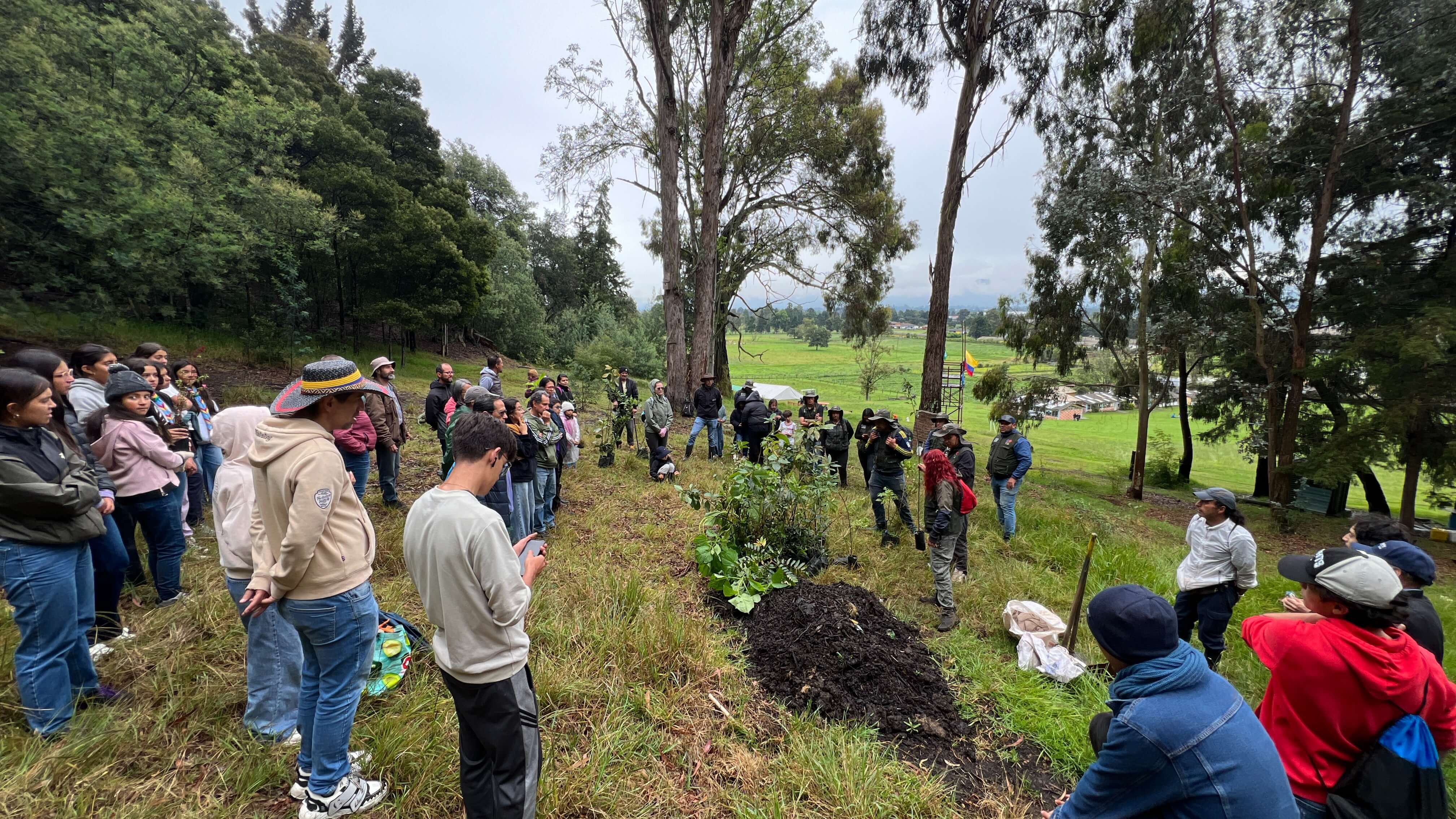 Jornada de siembra de árboles en el Refous
