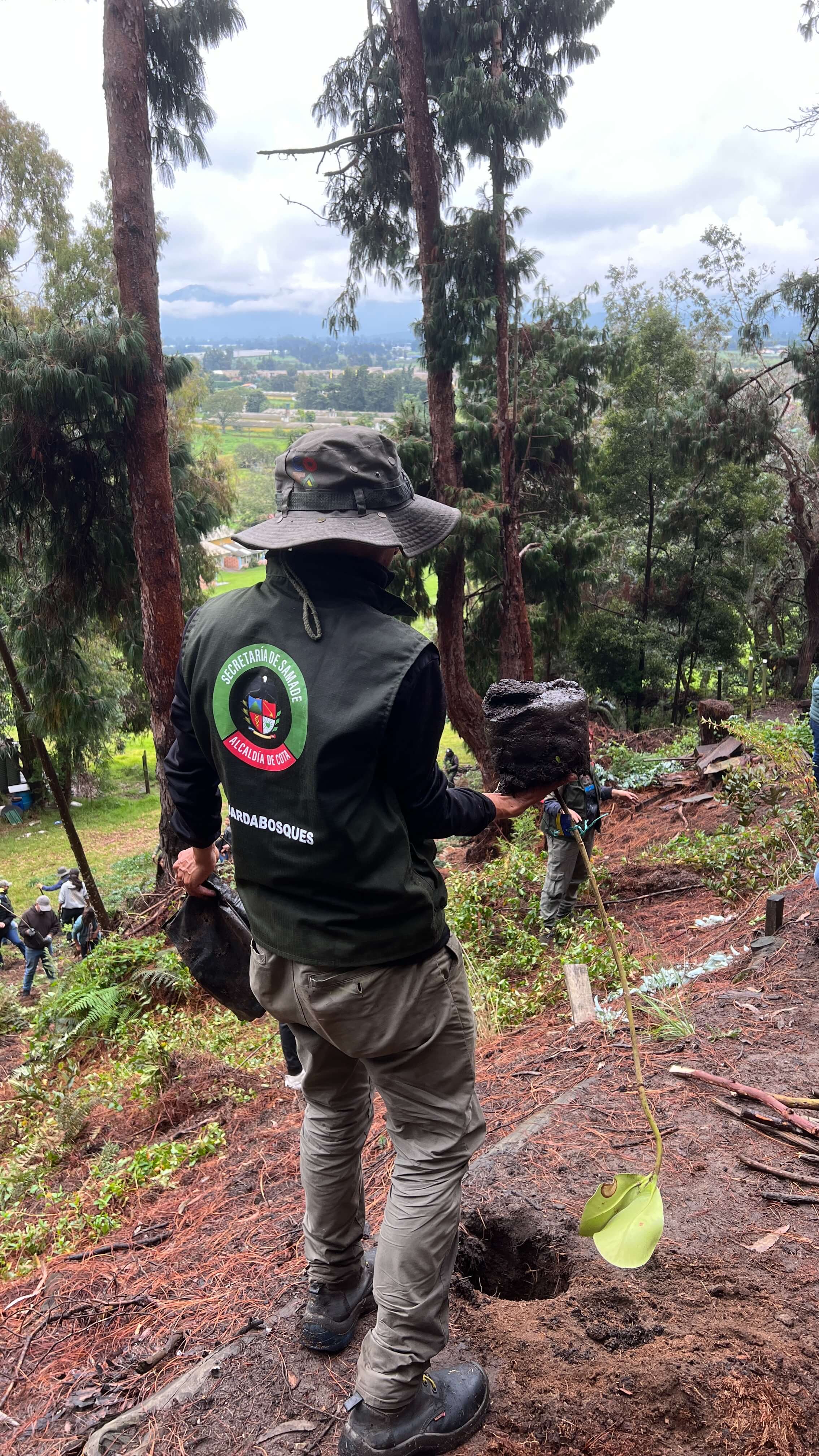Jornada de siembra de árboles en el Refous