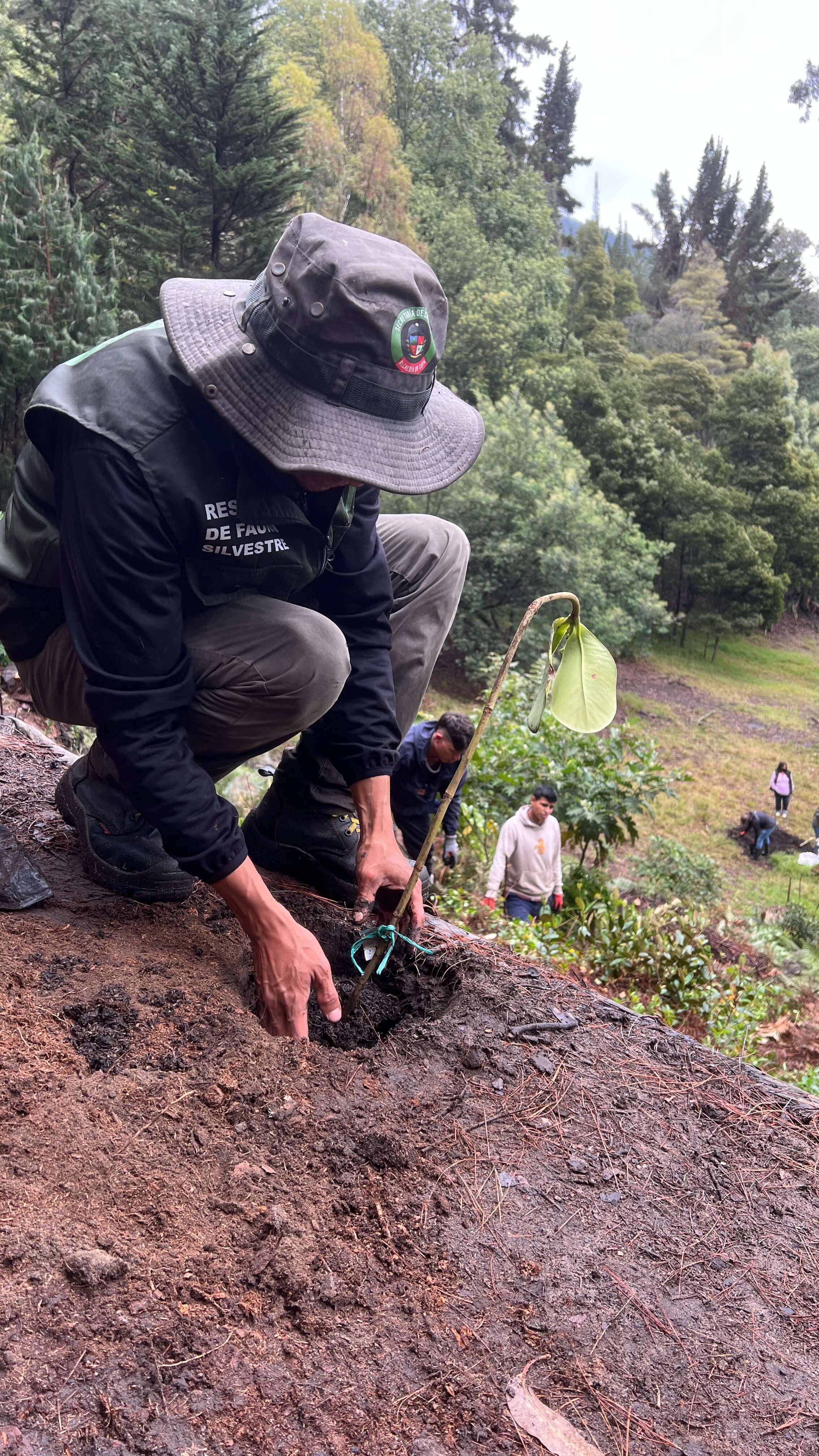 Jornada de siembra de árboles en el Refous