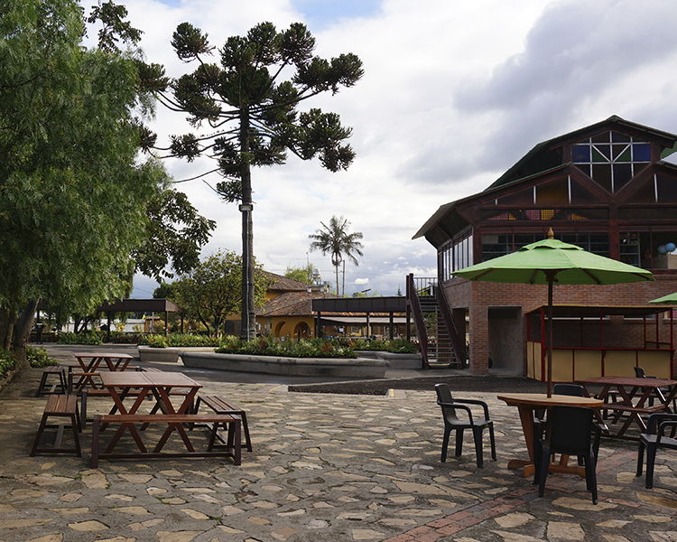 Biblioteca y Espacios al aire libre