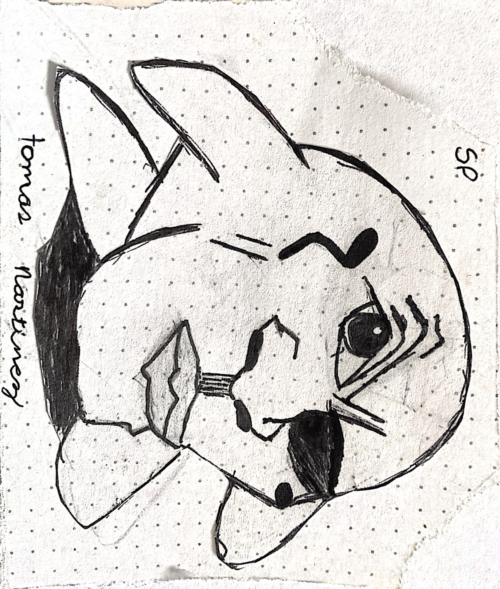 Galería obras Primaria